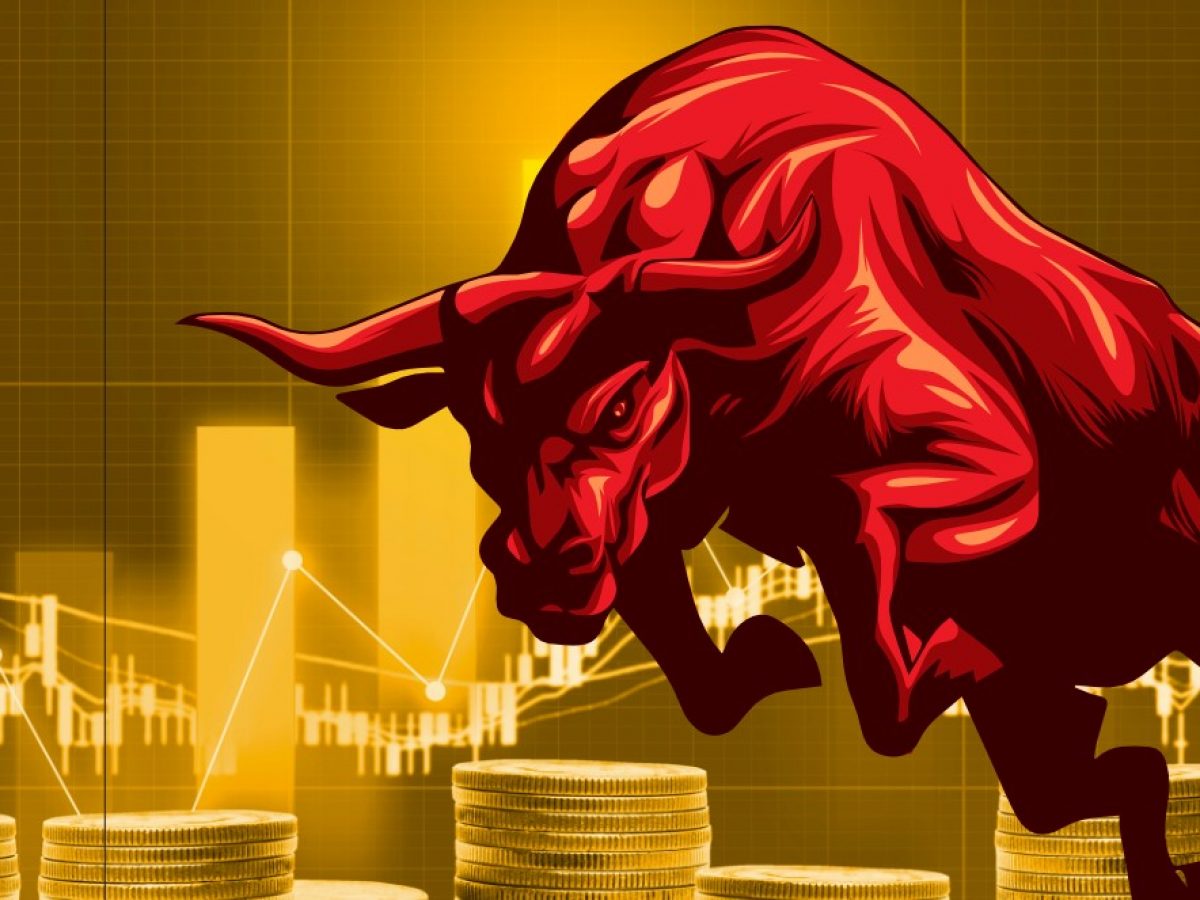 Bull coin